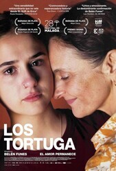 Черепаха / Los Tortuga