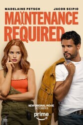 Требуется ремонт / Maintenance Required